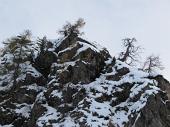 10 Alberi sulla roccia